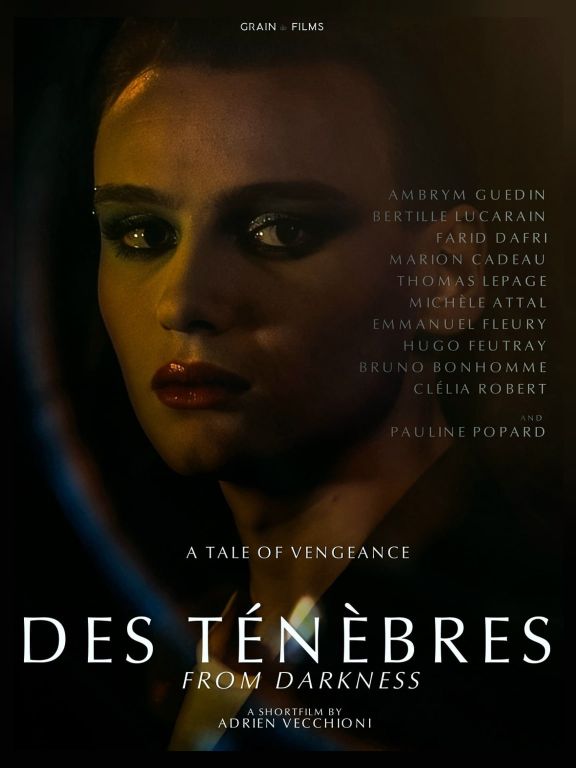 Affiche du film Des Ténèbres